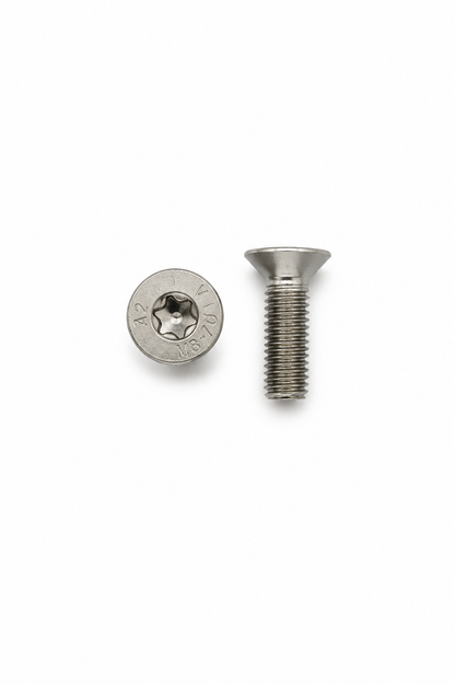VIS INOX TORX