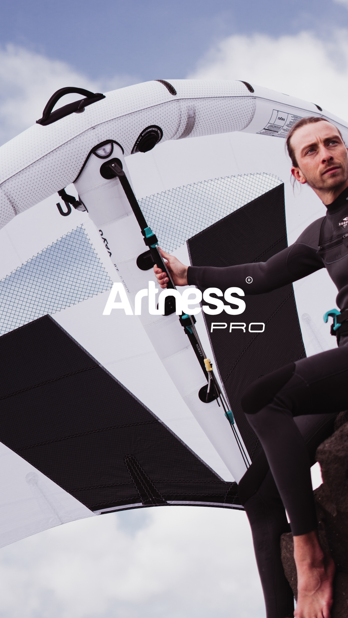 Artness®️ PRO